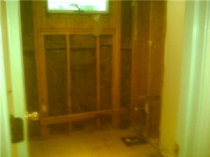 bath tub after demo