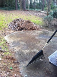 Junk Pile Removed Ansley Park