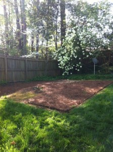 yard clean of old playset