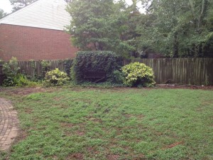 railroad tie removal