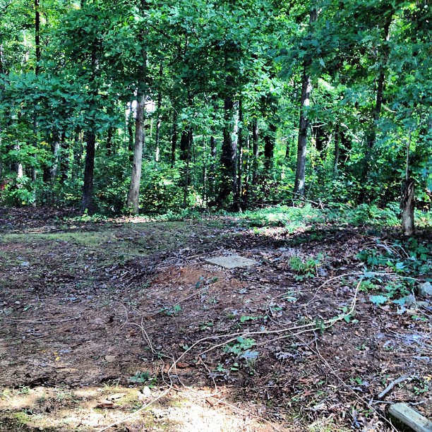 a clean back yard with no shed