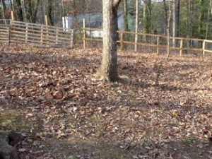 yard cleaned of junk trampoline