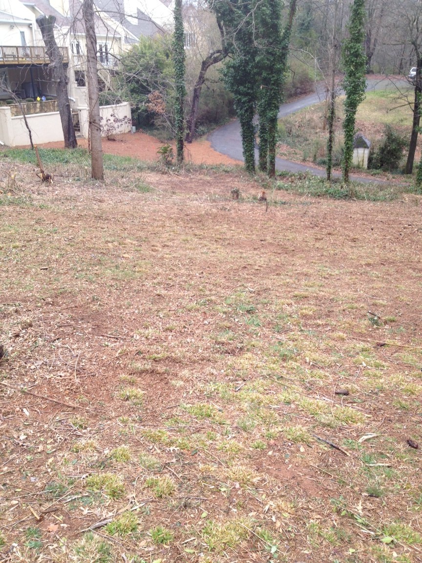 debris pile removed from brookhaven