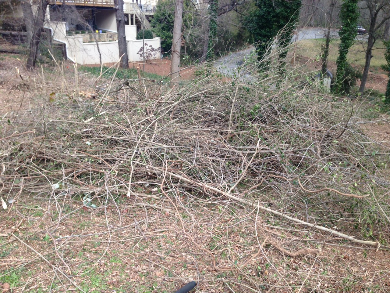 pile of debris in yard