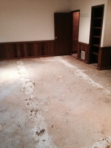 carpet demo and removal